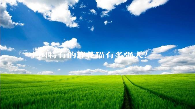中国特有的狸花猫有多强大？